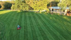 Drone image of lawn stripes