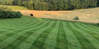 Image of stripes on a hill in a field
