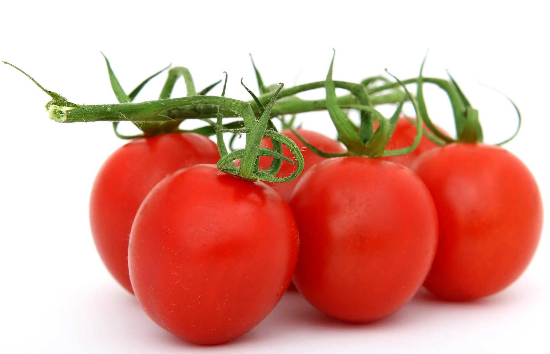 Image of tomatos